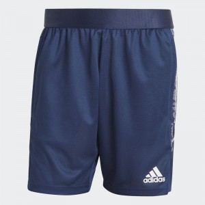 Short ADIDAS CONDIVO 21 TR SHO - JUNIOR