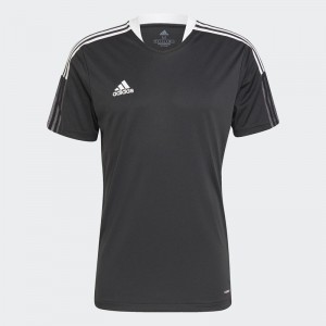 Maillot ADIDAS TIRO 21 TRG JSY - ADULTE