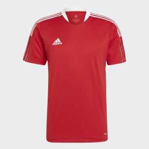 Maillot ADIDAS TIRO 21 TRG JSY - JUNIOR