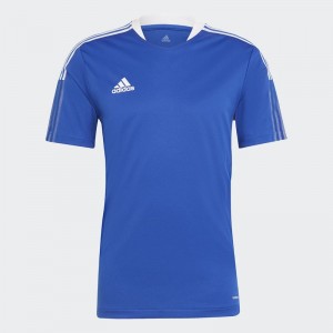 Maillot ADIDAS TIRO 21 TRG JSY - JUNIOR